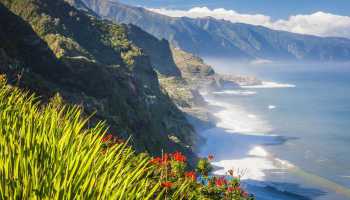 Португалія «Острів весни Мадейра» (трекінг) 