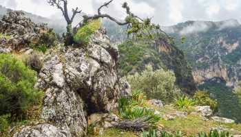 Туреччина «Західна Лікійська стежка» (готелі)