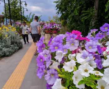 Анталия День 8