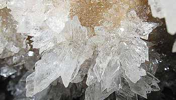 Кам'яні квіти Поділля і Бакота (зі СПА)