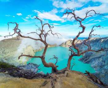 Острів Ява Дні 10-13