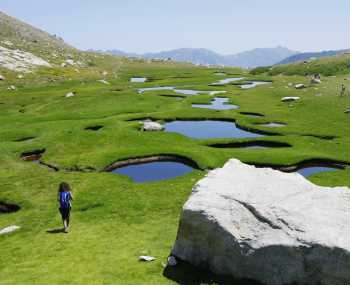 Vizzavona → Capannelle День 10