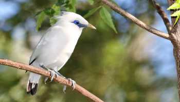 Індонезія «Країна тисячі островів»