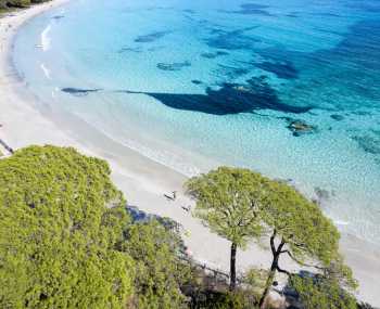 Paliri → Conca День 15