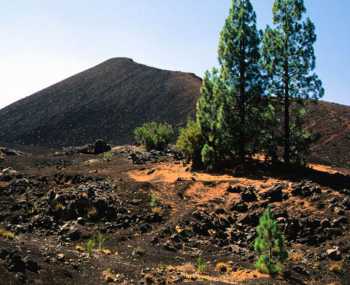 Villa de arico — Madre del Agua День 4