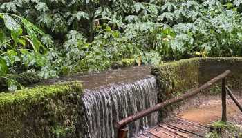 Азори «Смарагдові острови»