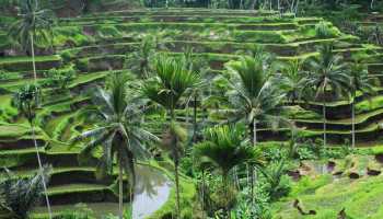 Індонезія «Країна тисячі островів»