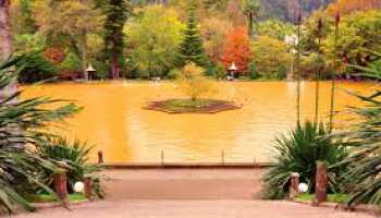 Азори «Смарагдові острови»