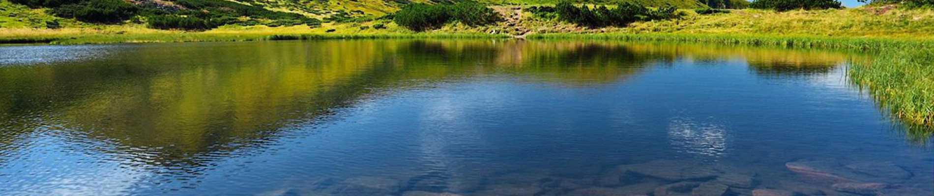 Несамовиті Шпиці, Кукул та Хомяк (готель)