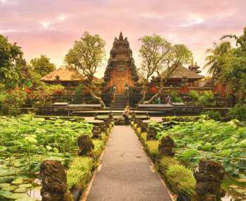 Home sweet home День 14