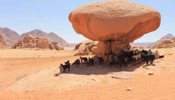 Йорданія «Висадка на Марс»