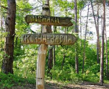 Видубичі - Підгірці - Лебедине озеро - Озеро Відро - Хутір Вольний - Видубичі День 1