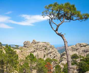 Paliri → Conca День 15