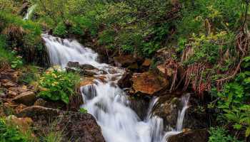 Карпати «Магія Чорногір» (притулок)
