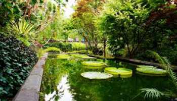 Азори «Смарагдові острови»