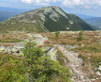 Боревка (1596 м) - Лопушна (1694 м) - г. Велика Сивуля (1836 м) – г. Мала Сивуля (1818 м) – пол. Рущина День 3