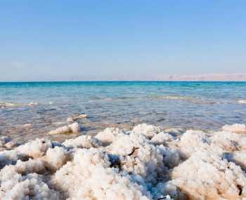 Home sweet home День 8