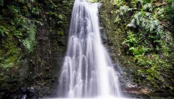 Азори «Смарагдові острови»
