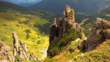 Несамовиті Шпиці, Кукул та Хомяк (готель)