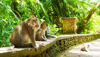 Індонезія «Країна тисячі островів»