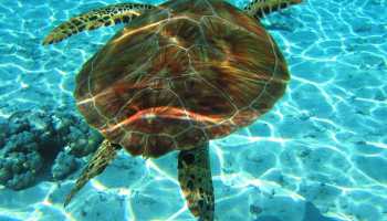 Турция «Западная Ликийская тропа» (отели)