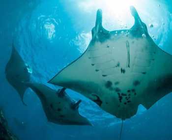 Острів Нуса Пеніда Дні 9-10